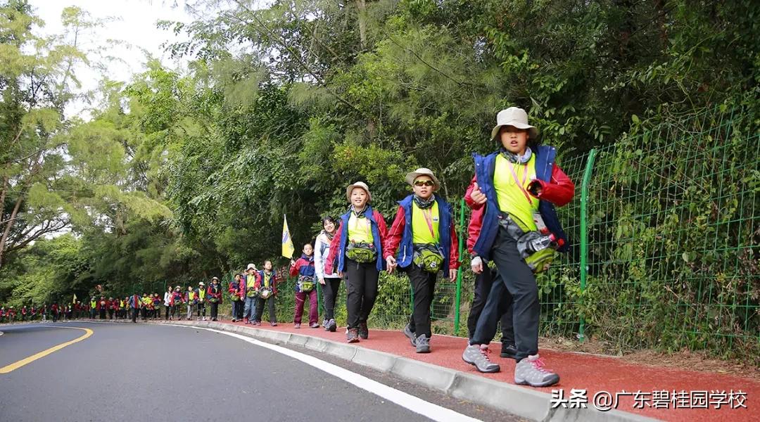 广东碧桂园职业学院评价,广东碧桂园职业学院绩点