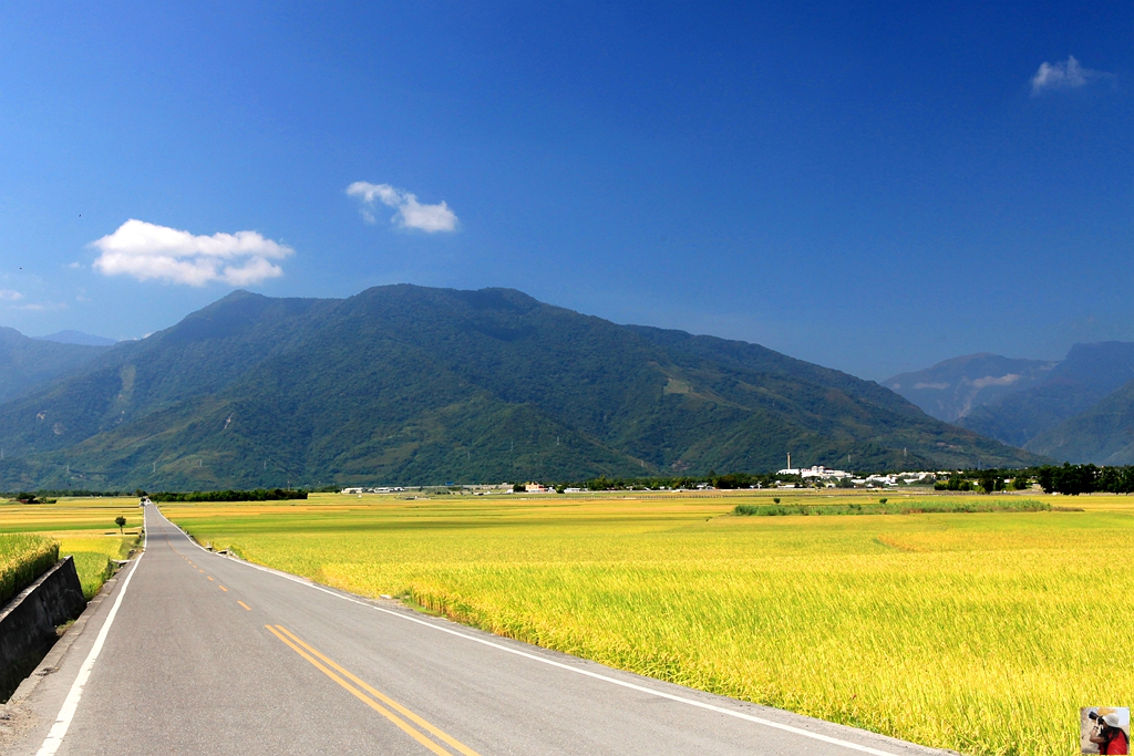花东纵谷面积,花东纵谷什么意思