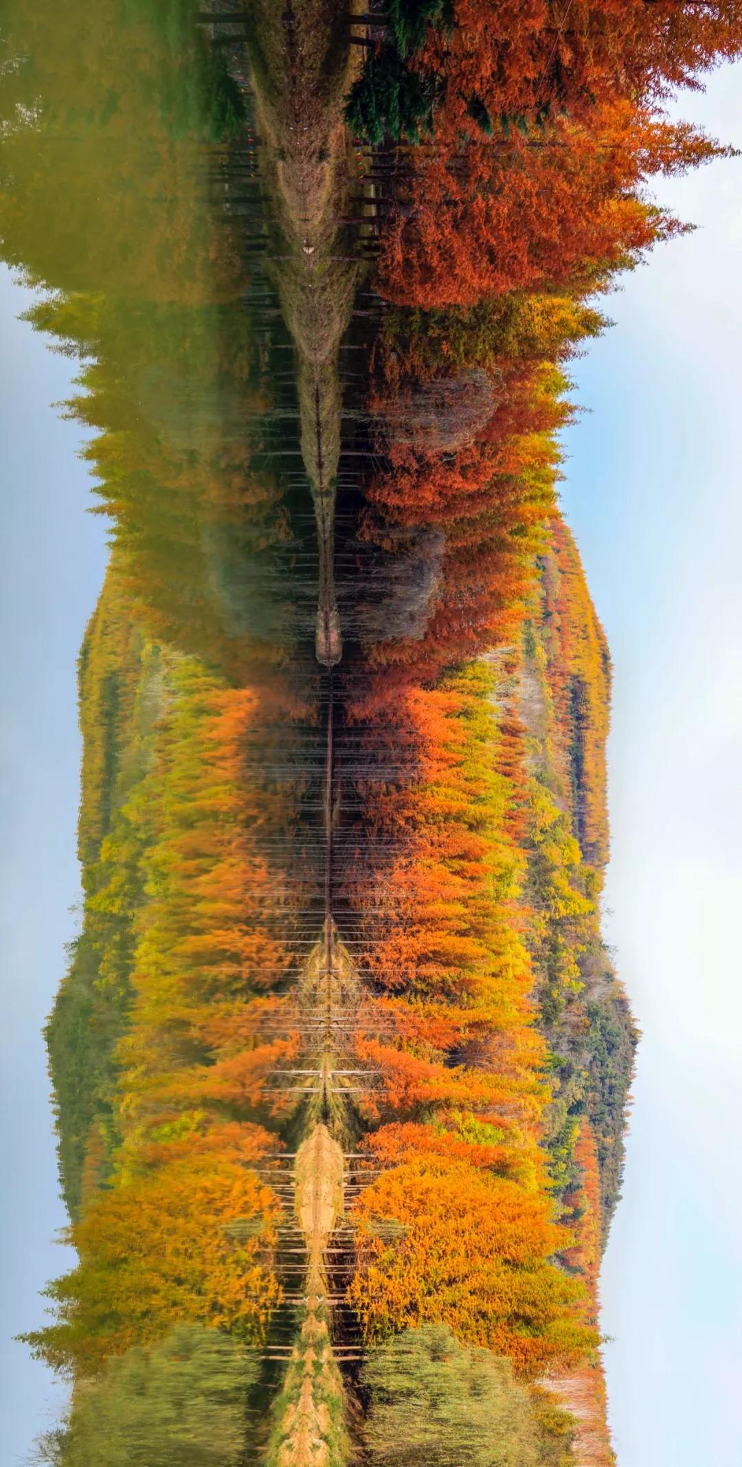 甘肃陇南属于西北吗,陇南是不是甘肃的好地方