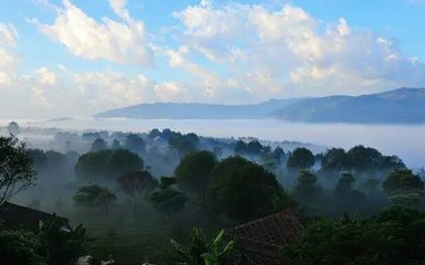 临沧西双版纳普洱市茶叶区别,思茅普洱茶与临沧普洱茶区别