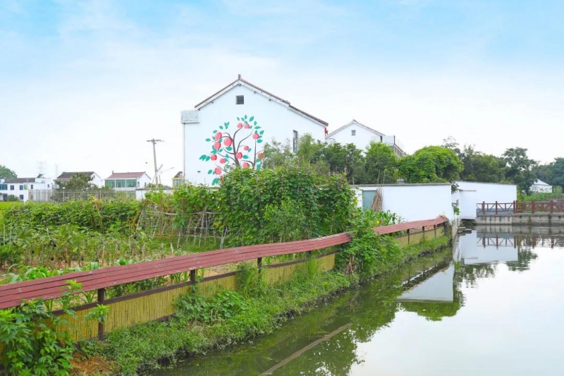 久居城市就会向往乡村的田园生活,向往的田园生活的感悟