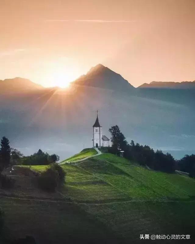 插花的心情优美的说说,个性签名说说心情短语