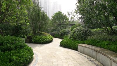 一口气告诉你郑州热销楼盘,郑州逆势火爆的楼盘