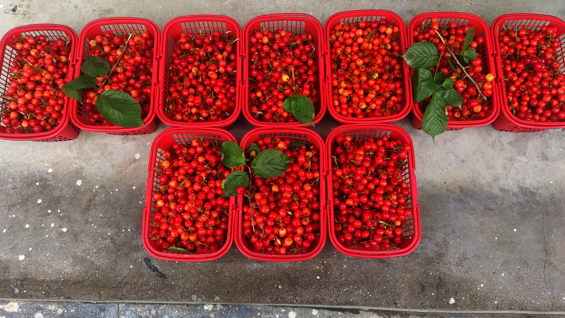 注塑行业真的这么赚钱吗,注塑产品前景如何