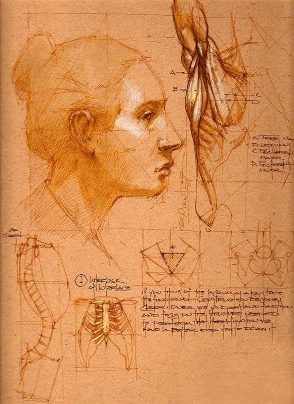 透视表现空间的基本方法,透视解剖学原理书籍