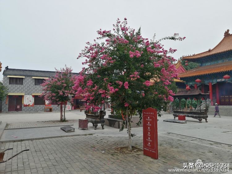 在路上枣庄,在路上五号店