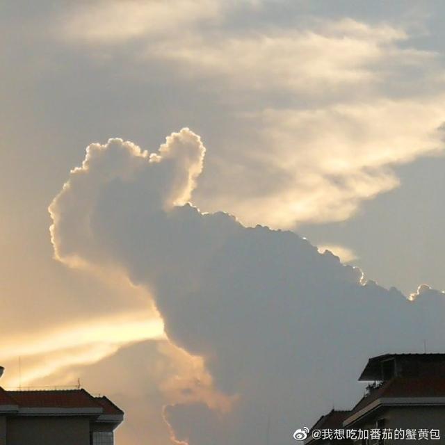 点赞高考加油,点赞云高考