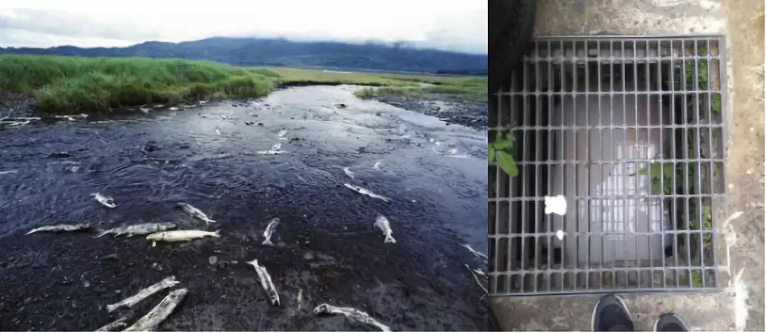 90后的走心设计,90后走心的设计引爆全网太震撼了