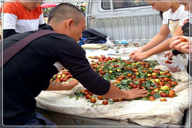 五十岁做什么小本生意好,适合五六十岁做的农村小本生意