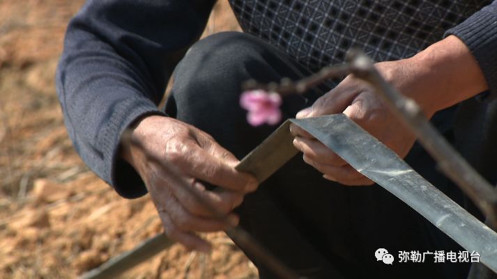 便民惠民!弥勒市第一家用水合作社这波操作太可以了!