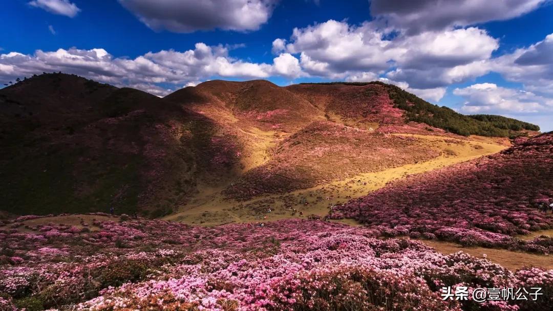 被大理的美景所折服,被丽江的风景美到了