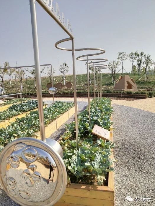 盘点北京适合遛娃的六个地方,周末免费遛娃好去处北京