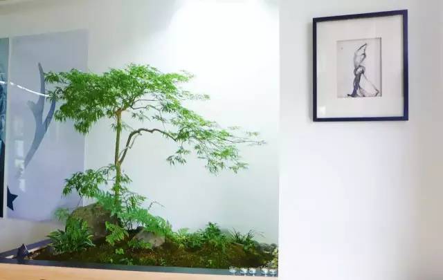 园林式办公区效果图,办公区花园景观设计