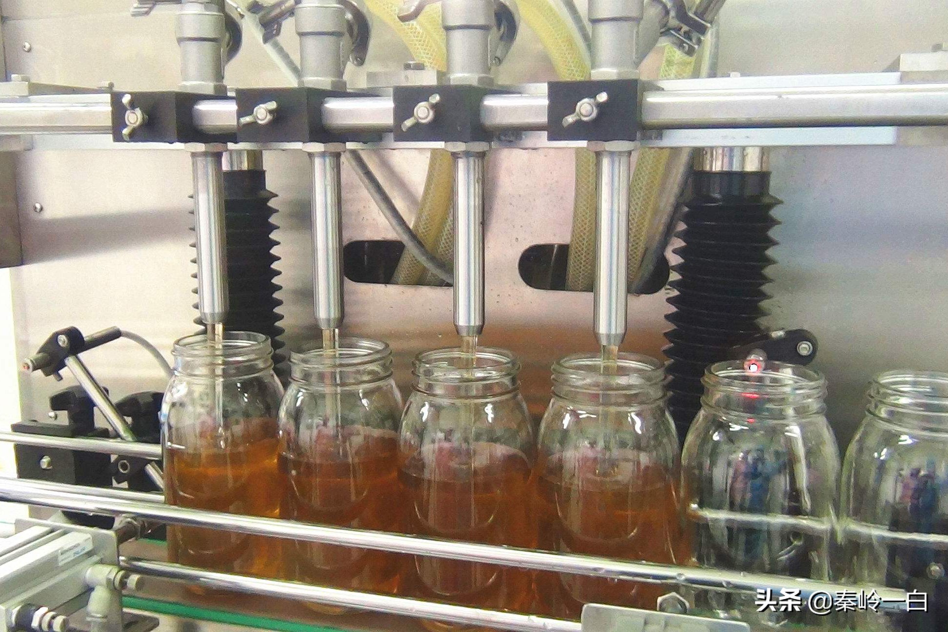 蜂蜜里的小黑点是虫吗,蜂蜜上面有一层黄色点点还能喝吗