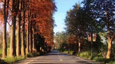 西溪湿地免费开放预约,西溪湿地免费区游览时间