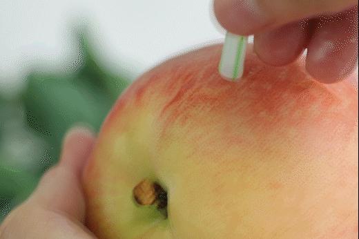 陕西水蜜桃香甜可口你喜欢吃吗,陕西纯甜的水蜜桃