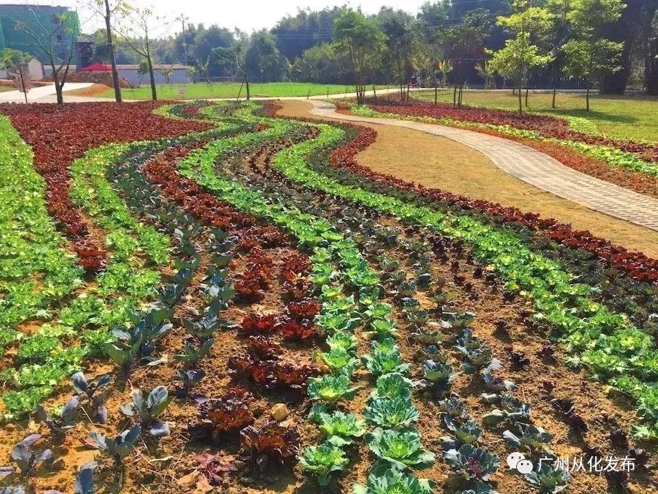 这个暑假去哪个地方玩不热,这个季节去从化有什么好玩的