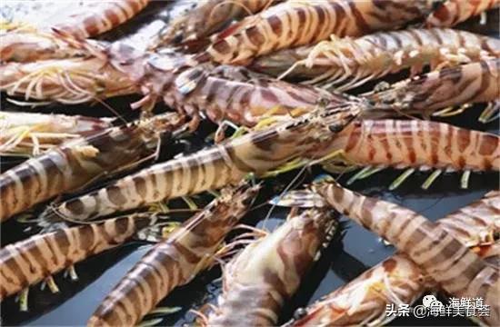 好吃不贵的海鲜种类有哪些,最好吃又最常见海鲜有几种