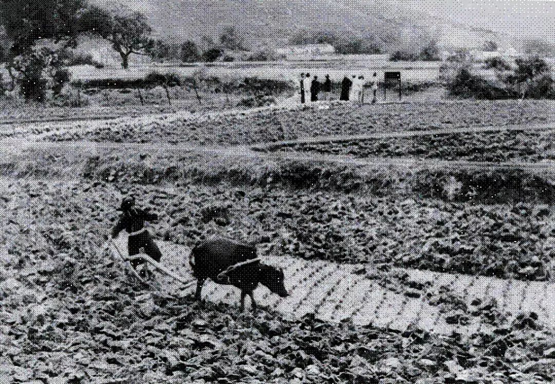 深圳市中英街,深圳中英街的历史变化