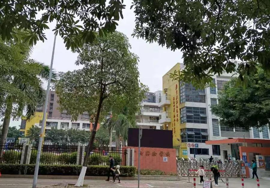 整理到眼瞎，250万如何买荔湾、白云、番禺