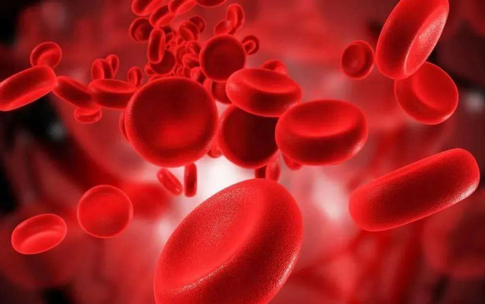 大健康将成为风口,大健康事业必定星火燎原