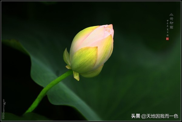 「原创文章」徐老师聊作文——做一个“精神灿烂”的人