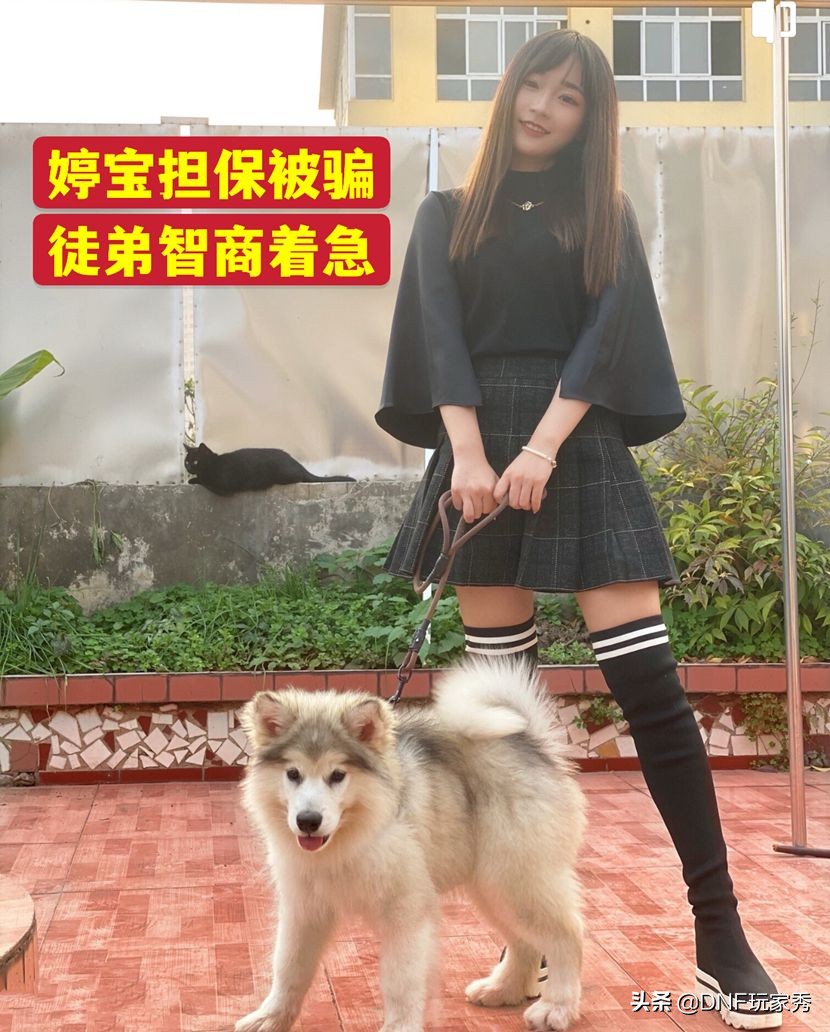 DNF：神探旭旭宝宝！查办“17W大*子骗**”，抽丝剥茧寻找真相