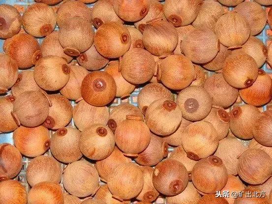 印度小叶紫檀整料制作,印度小叶紫檀工艺品制作过程