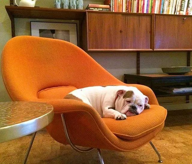 富人与穷人装修,给穷人装修和给有钱人装修