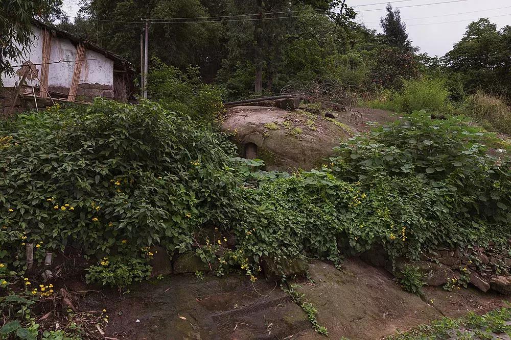 渝北枇杷正黄，冒冒失失穿越铁壁、胜保、斗碗三寨