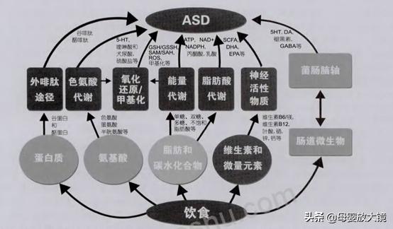 怎么帮助自闭症的人,了解自闭症知识助力星星的孩子