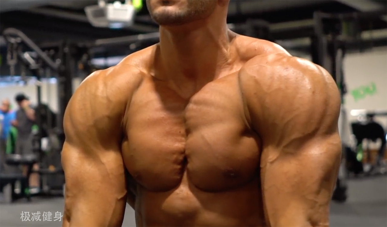 为什么有些人手臂肌肉比较明显,如何快速的把手臂肌肉练壮