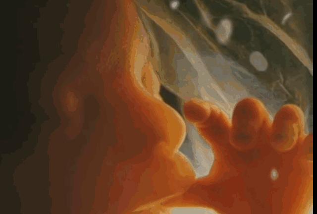 想要宝宝更聪明,如何进行胎教宝宝才能更聪明