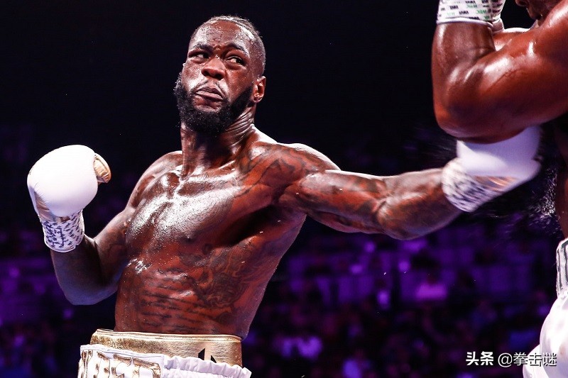 美国拳王维尔德最新比赛视频,拳坛最危险的重炮手维尔德