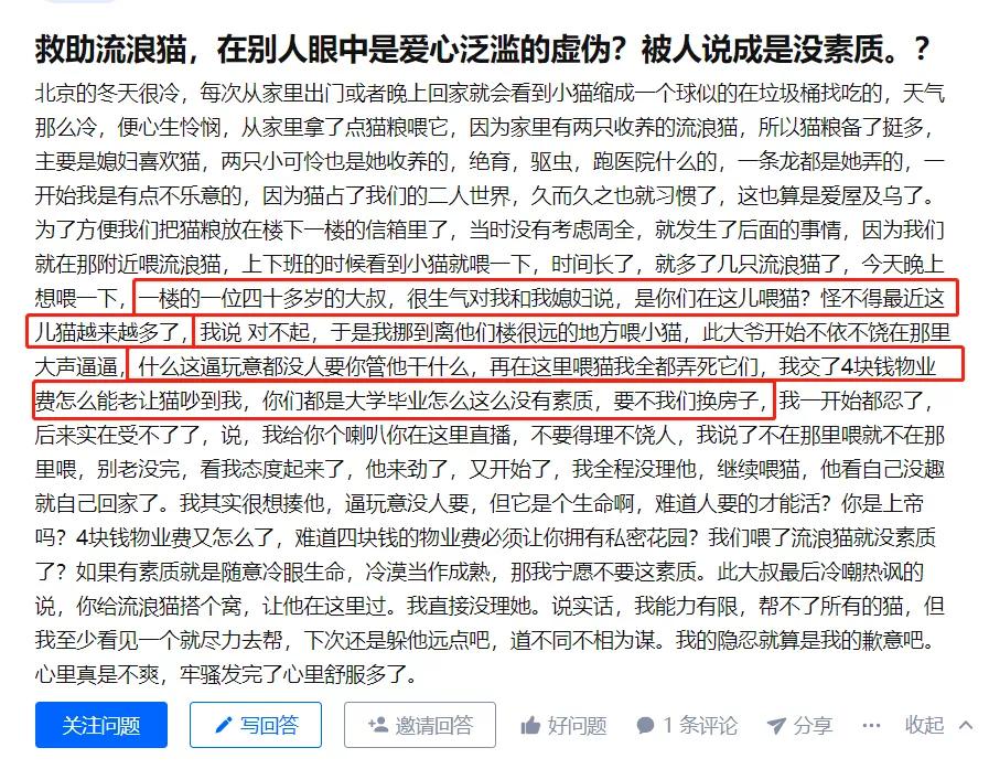 救助流浪猫的都是哪些人,救助了流浪猫没出钱被骂了