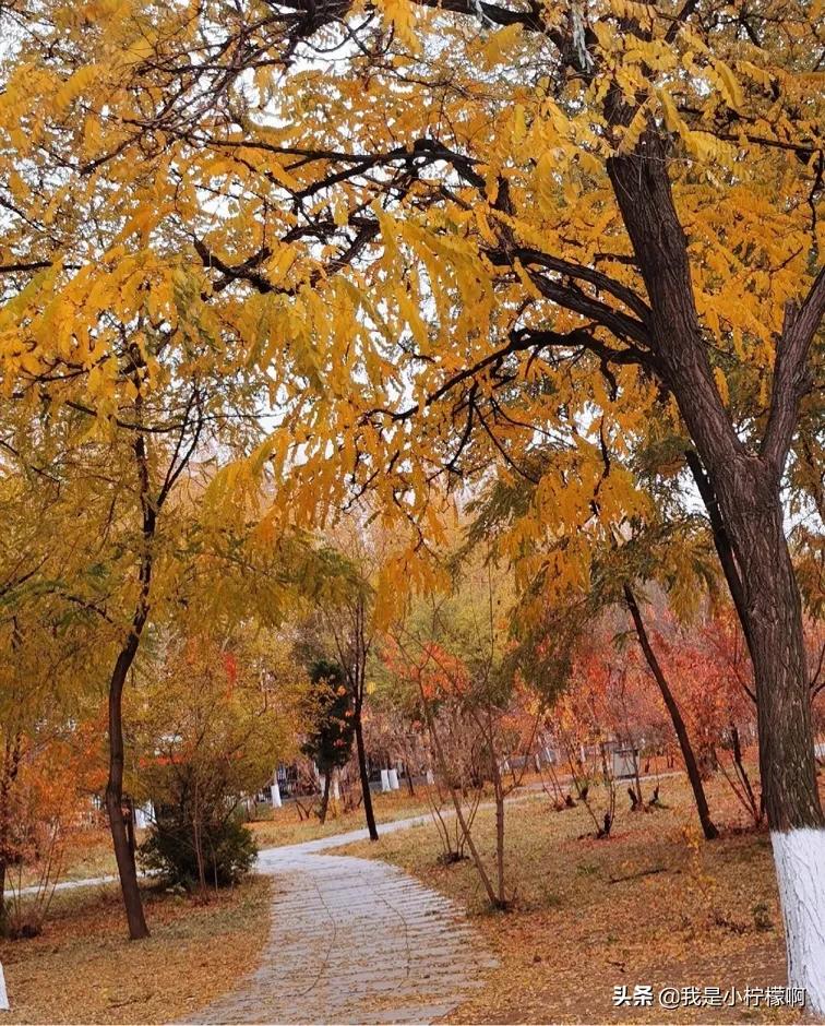 吉林师范大学位于小城市的重点大学