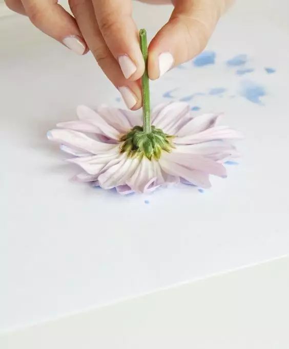 简单又好看的儿童画画教程,教小孩子画画好看又简单的教程