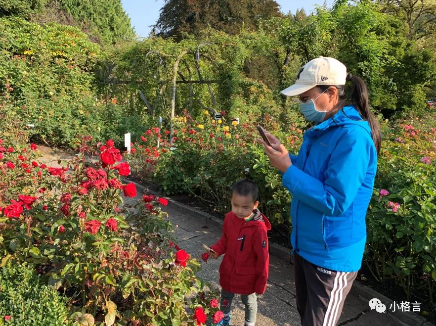 维多利亚著名的花园,维多利亚旅行攻略