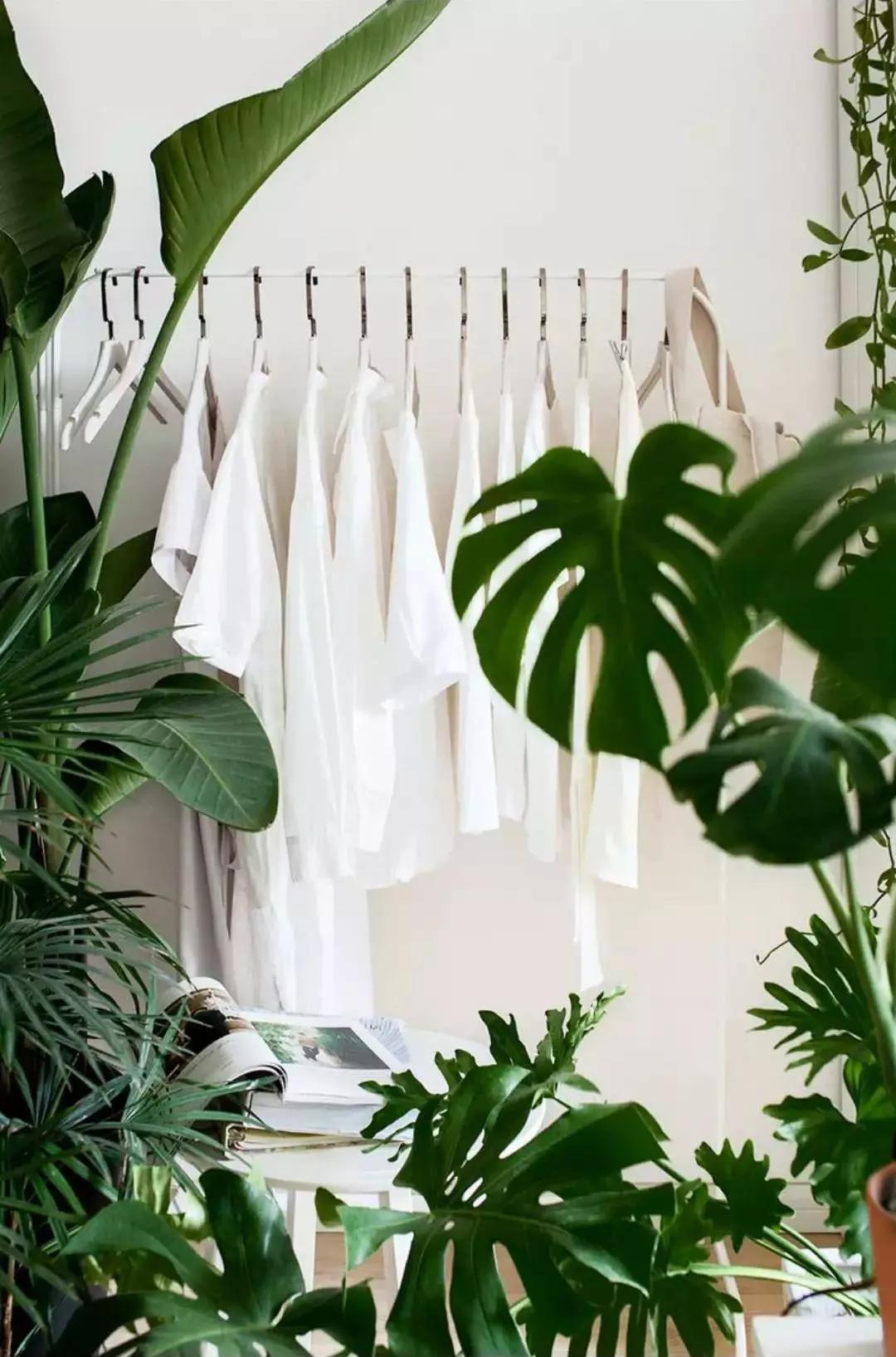 小夫妻98㎡家意外走红！登北京地铁广告，这个家才是都市里的奢侈