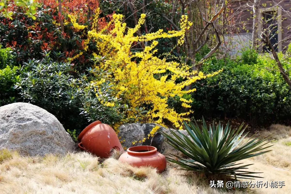 婚后老公和婆婆同住一张床,新婚之夜老公和婆婆聊天