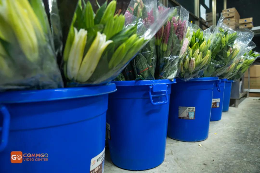 重庆花市排名前十名,重庆花市哪里最便宜