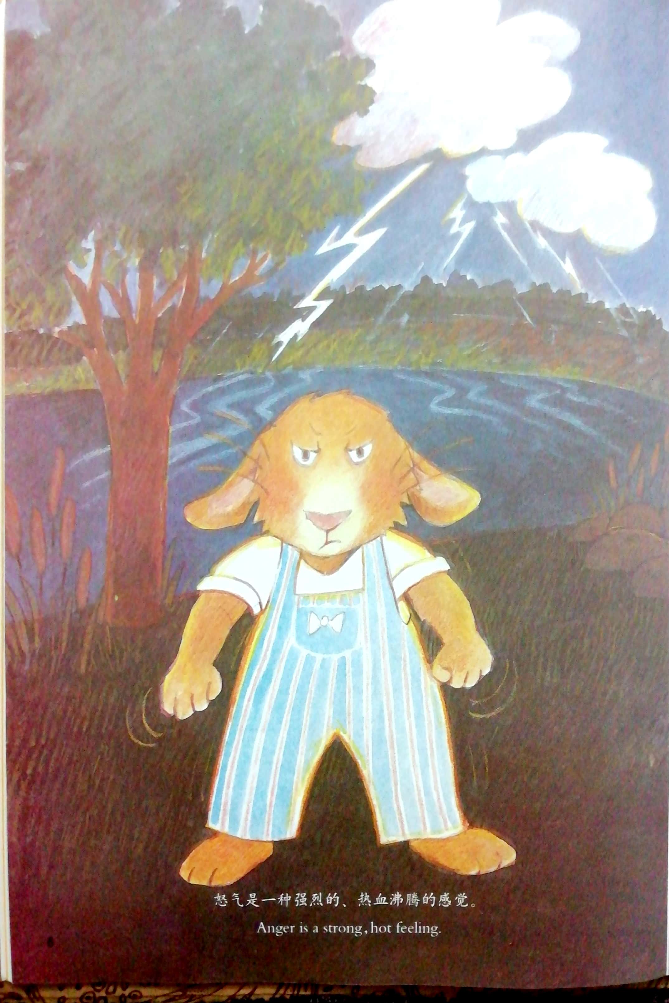 引导宝宝开口说话绘本,宝宝生气了讲故事