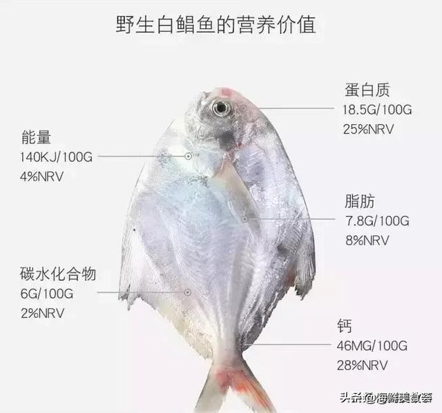 小刺很多的海鱼怎么做好吃,多吃些营养鲜美的海鱼