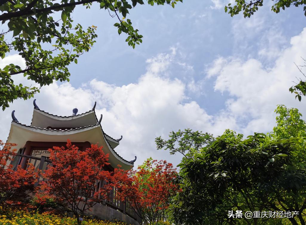 在北区未来发展引擎核心区内，竟藏着一个“世外桃源”