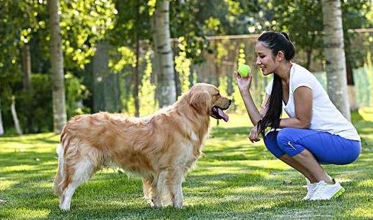 女生真的更喜欢大型犬吗,大型犬为什么会咬人