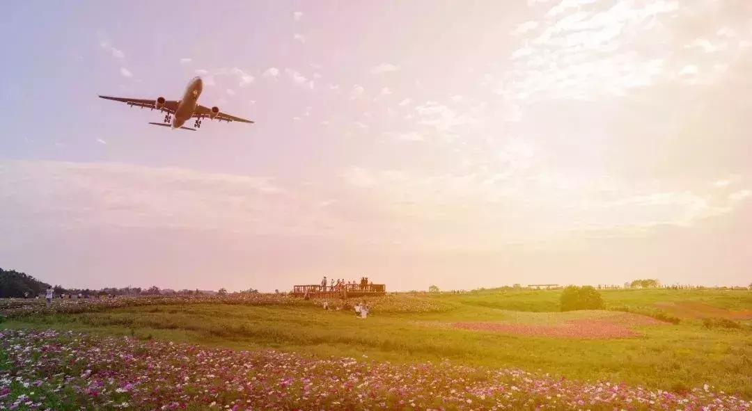 双流机场未来的发展,双流机场曾经的辉煌