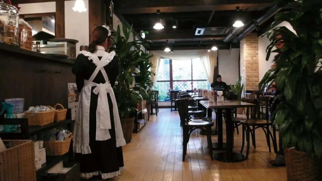 女仆装小考：为什么这种制服文化在日本特别流行？|张小玉