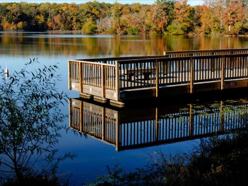 美国佛罗里达州留学,美国北卡罗来纳州大学留学