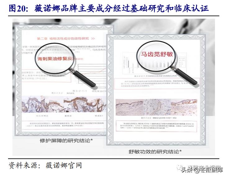 开源零售化妆品专题:从贝泰妮看“医研赋能”助力护肤国货崛起