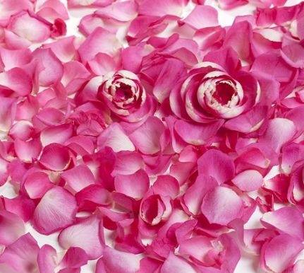 这瓶玫瑰水火了,三大绯闻女星都为它折腰